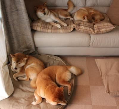 开云体育平台APP-马刺单节掀起滔天巨浪，欧文冷面出鞘难挽狂澜