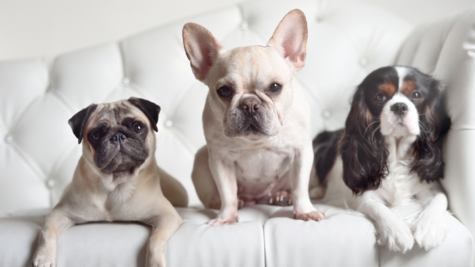 开云体育app-北欧神话，莱万末节独造三球，挪威新星击沉切尔西