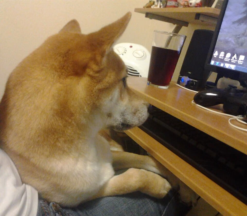 开云体育平台APP-凌晨四点的传奇，当皮克与多特蒙德在命运的十字路口同时逆转