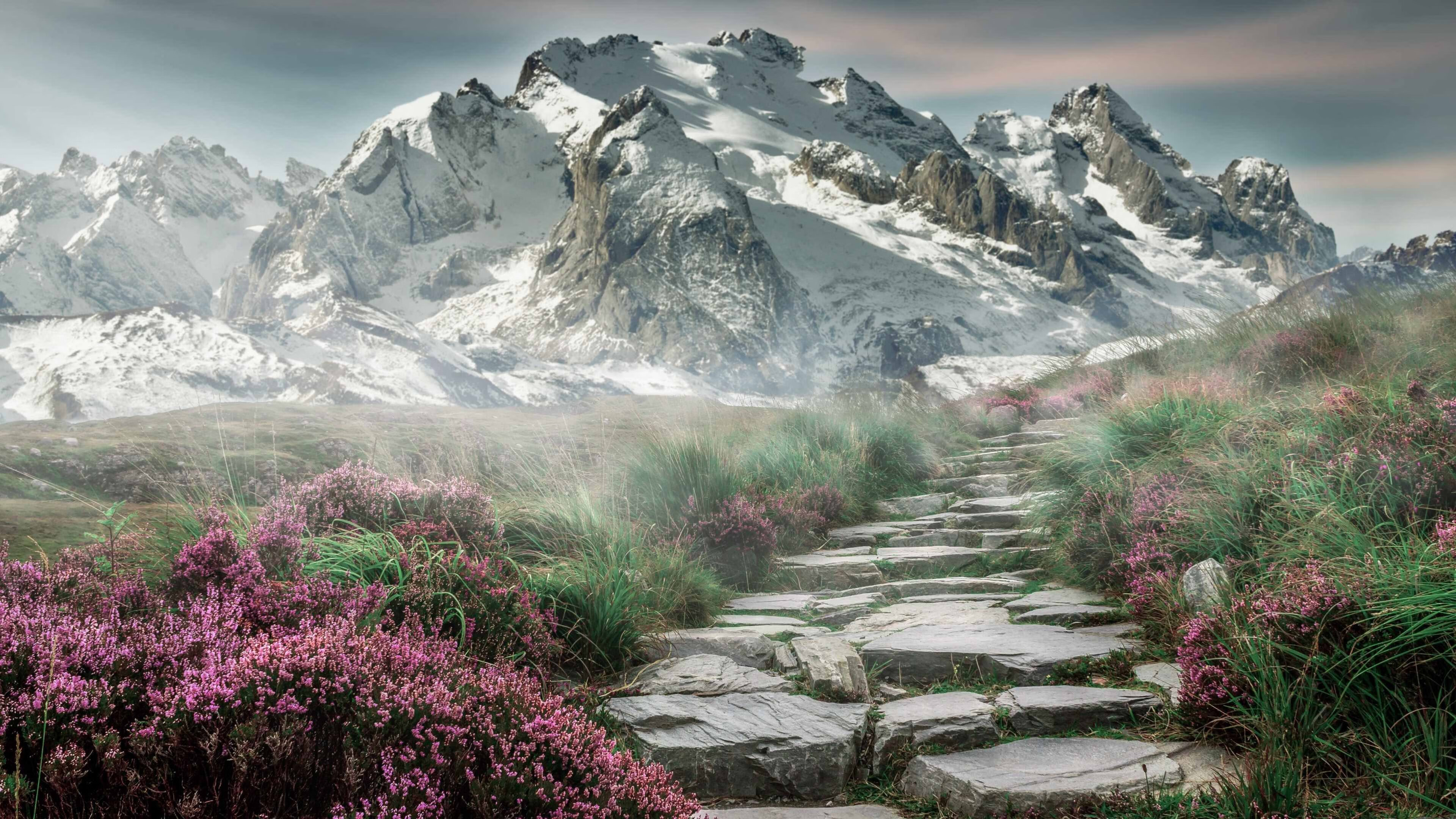 开云体育-决胜时刻的共振，一场F1街道赛如何教会我们读懂恩比德的终场绝杀