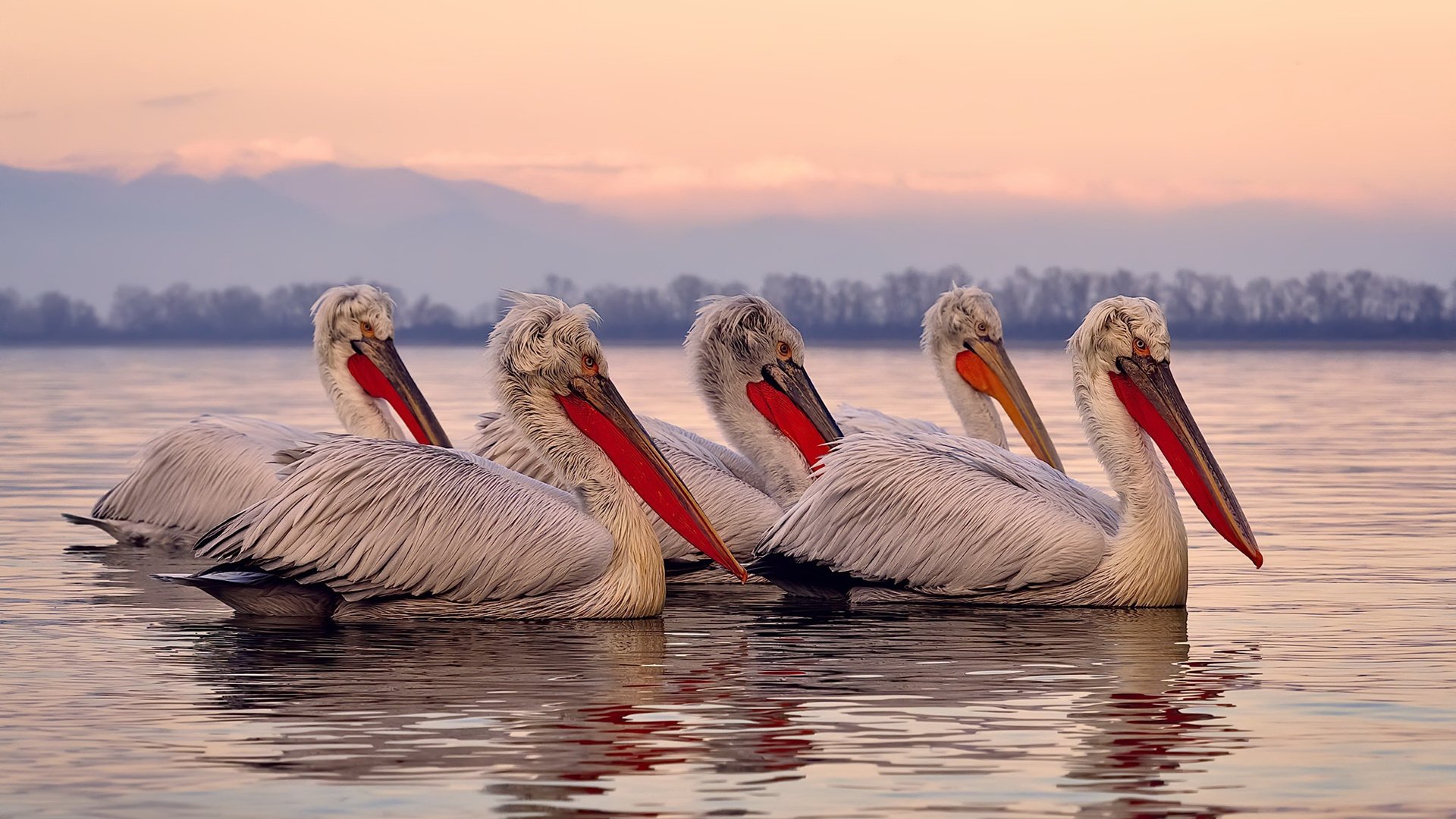 开云体育-废土之上，范弗利特以星辰为幕，当活塞碾过绿军神话