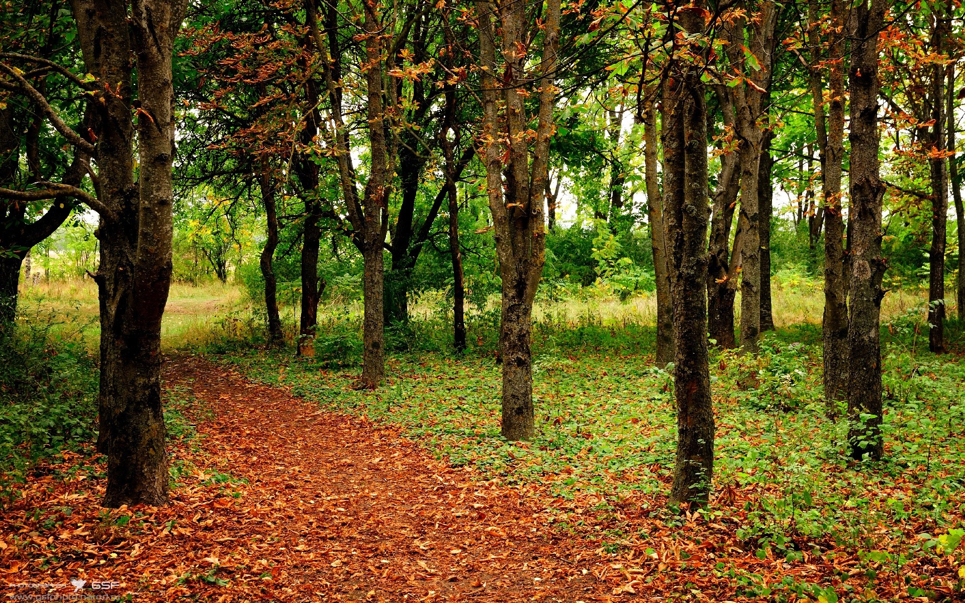 开云体育-跨越太平洋的绝杀，当CBA十一冠王遭遇NBA重建之师，莫兰特按下不属于他的时间控制器
