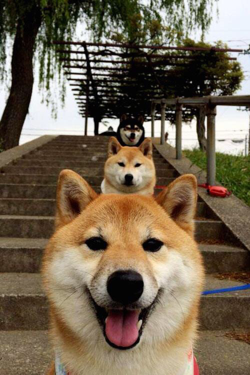 夜之刀锋，切特如何在拉斯维加斯画出完美轨迹