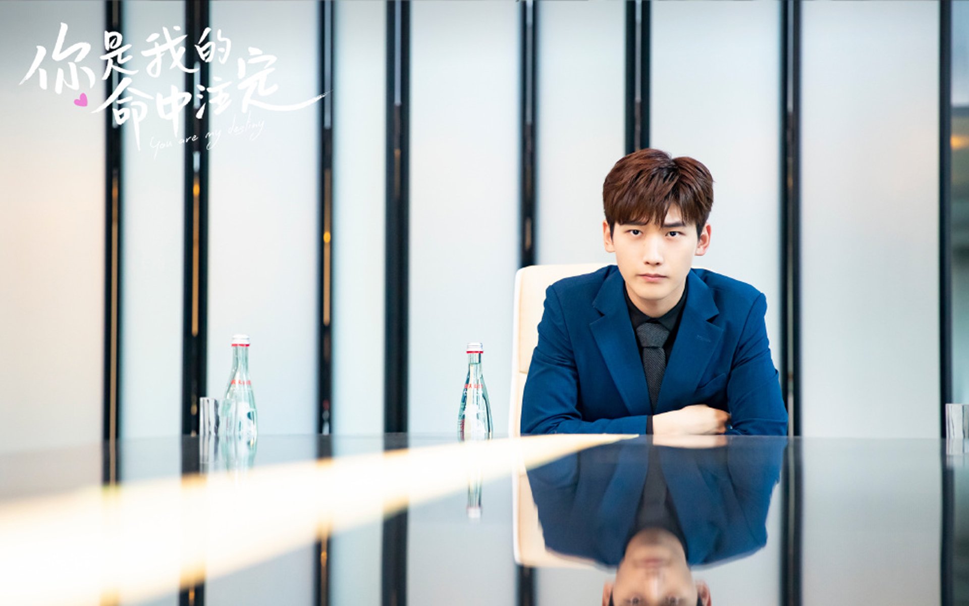 武切维奇攻防转换核心，奇才主场力克掘金