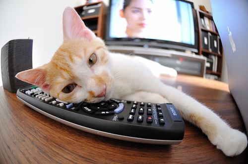 开云体育-狭路相逢，奇才争冠战浓眉定乾坤，惊天逆转胜吉林