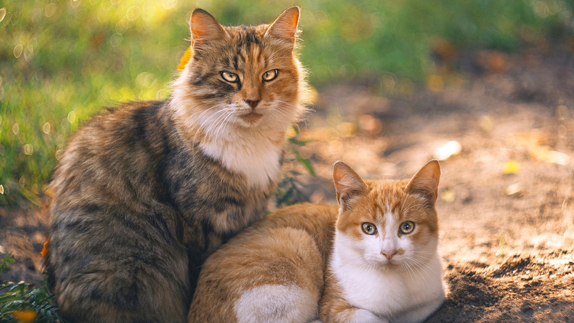 孤胆与铁骑，久保建英如何以一人之姿踏平米兰德比