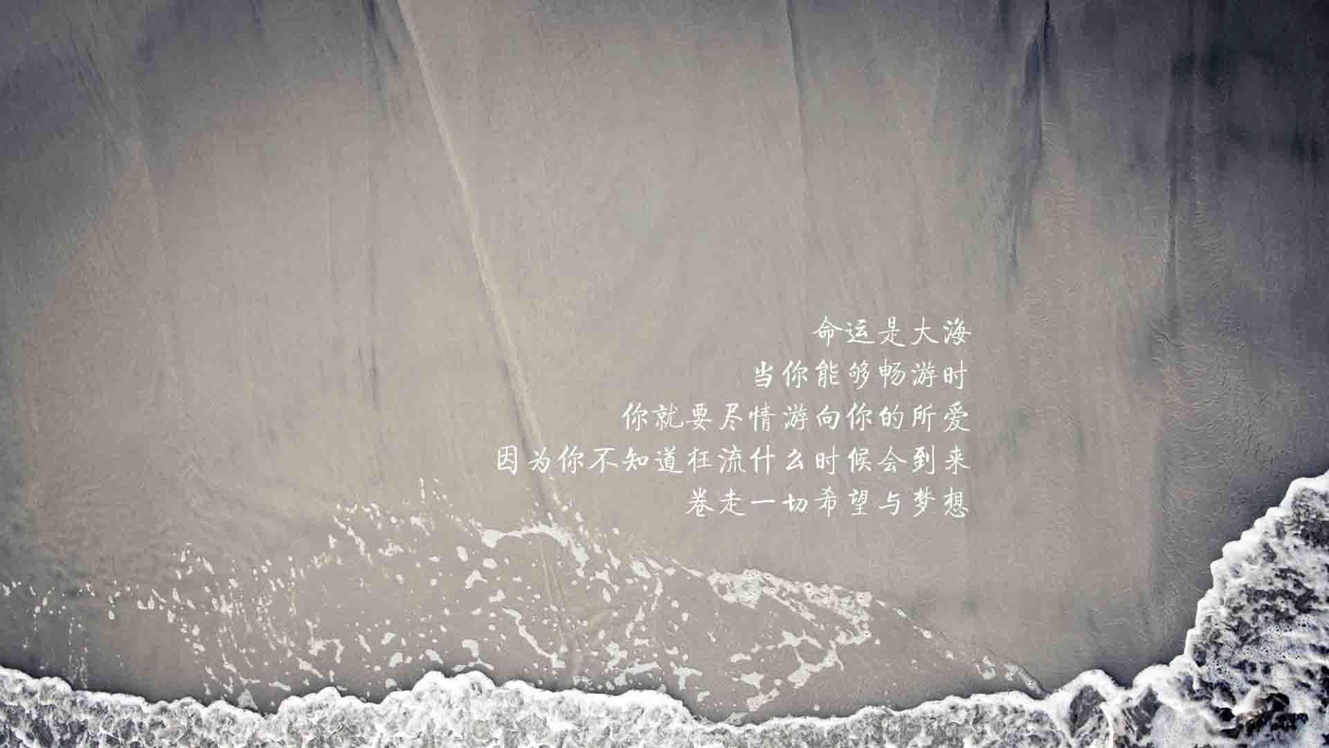 萨卡引领逆转风暴，2026世界杯C组关键战，日本队以韧性征服匈牙利